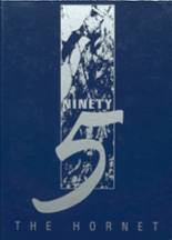 1995 White Sulphur Springs High School Yearbook from White sulphur springs, Montana cover image