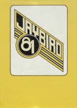 1981 Jayton High School Yearbook from Jayton, Texas cover image