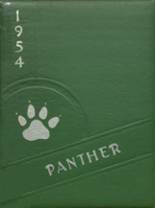 Derby High School 1954 yearbook cover photo