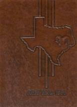 Elsik High School 1981 yearbook cover photo