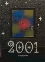 Benson High School 2001 yearbook cover photo