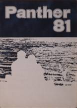 1981 O'Fallon Township High School Yearbook from O'fallon, Illinois cover image