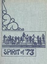 1973 Friendly High School Yearbook from Ft. washington, Maryland cover image