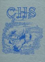 Crestline High School 1986 yearbook cover photo