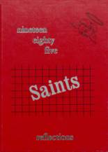 1985 St. Ansgar High School Yearbook from St. ansgar, Iowa cover image