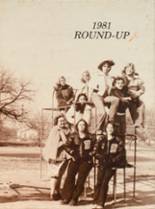 1981 Ryan High School Yearbook from Ryan, Oklahoma cover image