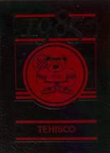 Tenino High School 1985 yearbook cover photo