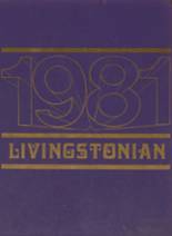 Livingston High School 1981 yearbook cover photo