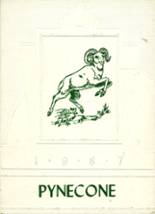 1987 Raymond High School Yearbook from Raymond, New Hampshire cover image