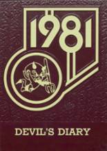Eagle Valley High School 1981 yearbook cover photo