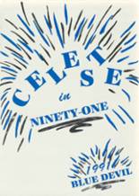 Celeste High School 1991 yearbook cover photo