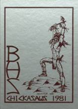 1981 Blytheville High School Yearbook from Blytheville, Arkansas cover image