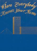 1994 Wethersfield High School Yearbook from Wethersfield, Connecticut cover image