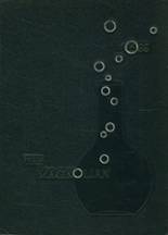 1966 Magnolia High School Yearbook from New martinsville, West Virginia cover image