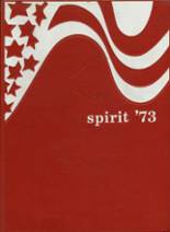 1973 St. Paul High School Yearbook from Norwalk, Ohio cover image