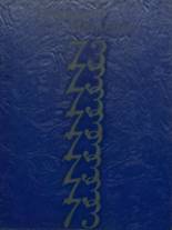 1973 Bald Knob High School Yearbook from Bald knob, Arkansas cover image