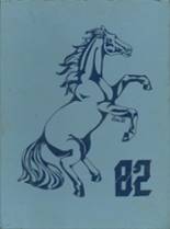 Memorial High School 1982 yearbook cover photo