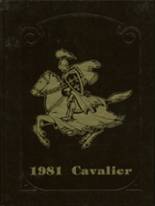 1981 South Holt High School Yearbook from Oregon, Missouri cover image