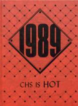 Custer High School 1989 yearbook cover photo