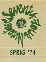 Bremen High School 1974 yearbook cover photo