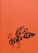 1969 Dighton High School Yearbook from Dighton, Kansas cover image