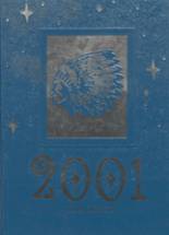 Blue Ridge High School 2001 yearbook cover photo