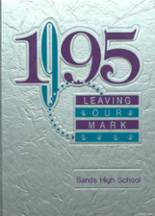 Sands Cisd High School 1995 yearbook cover photo