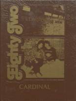 1982 Lewiston High School Yearbook from Lewiston, Minnesota cover image
