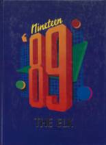 1989 Stratford High School Yearbook from Stratford, Texas cover image