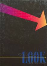 1995 Scotland High School Yearbook from Scotland, South Dakota cover image