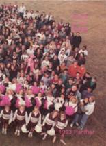 Benton High School 1993 yearbook cover photo