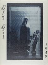 1959 St. Johns High School Yearbook from Jackson, Michigan cover image