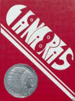 1981 Saranac Lake Central High School Yearbook from Saranac lake, New York cover image