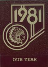 Wall Lake View Auburn High School 1981 yearbook cover photo