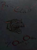 1998 Morenci High School Yearbook from Morenci, Arizona cover image