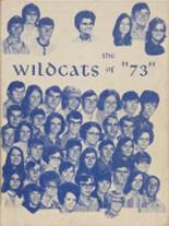 Welch High School 1973 yearbook cover photo