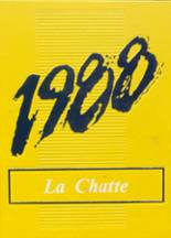 1988 Lakeview High School Yearbook from Lakeview, Michigan cover image