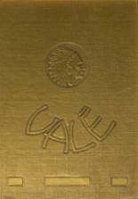 1970 Minisink Valley High School Yearbook from Slate hill, New York cover image