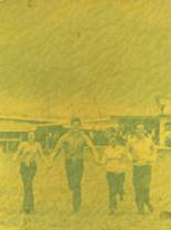 Live Oak High School 1973 yearbook cover photo