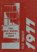 1977 Brookhaven High School Yearbook from Brookhaven, Mississippi cover image