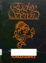 1987 Corinth Central High School Yearbook from Corinth, New York cover image