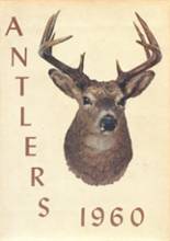 Deer Park High School 1960 yearbook cover photo