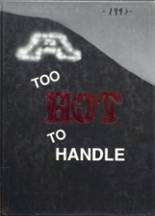 Antelope High School 1991 yearbook cover photo
