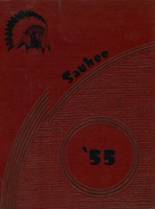 1955 Pittsfield High School Yearbook from Pittsfield, Illinois cover image