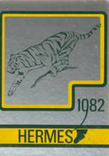 Hudson Falls High School 1982 yearbook cover photo