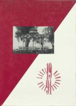 1994 Clear Lake High School Yearbook from Lakeport, California cover image