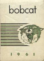 1961 Somonauk High School Yearbook from Somonauk, Illinois cover image