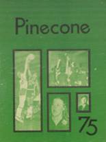 Crowley's Ridge Academy 1975 yearbook cover photo