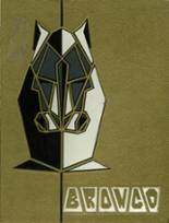1965 New Mexico Military Institute High School Yearbook from Roswell, New Mexico cover image
