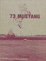 Perryville High School 1973 yearbook cover photo